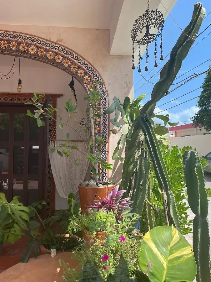 Enjoy Sunsets At Fully Equipped 1Br Condo By The Beach Isla Mujeres Lägenhet